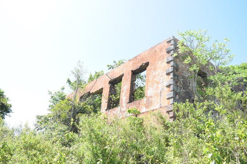 Albion Great House Ruin — photo 1