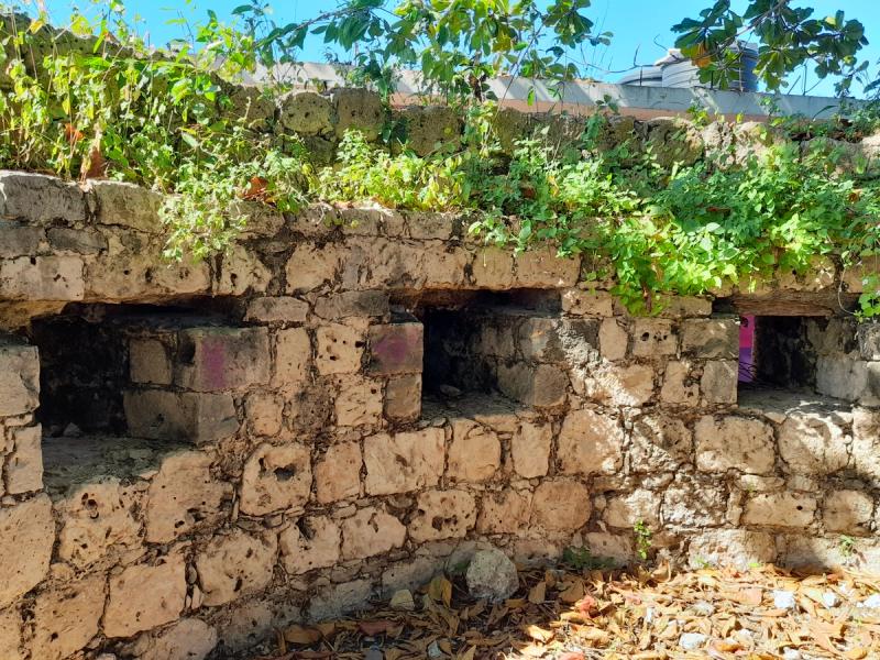 Fort Dundas, Rio Bueno — photo 1