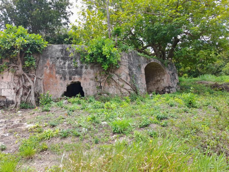 Harmony Hall Estate Ruins, Harmony Cove — photo 2