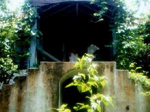 Golmont View House, Reading — photo 1