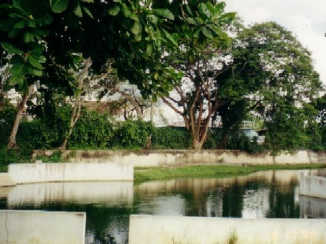 Black River Spa — photo 1
