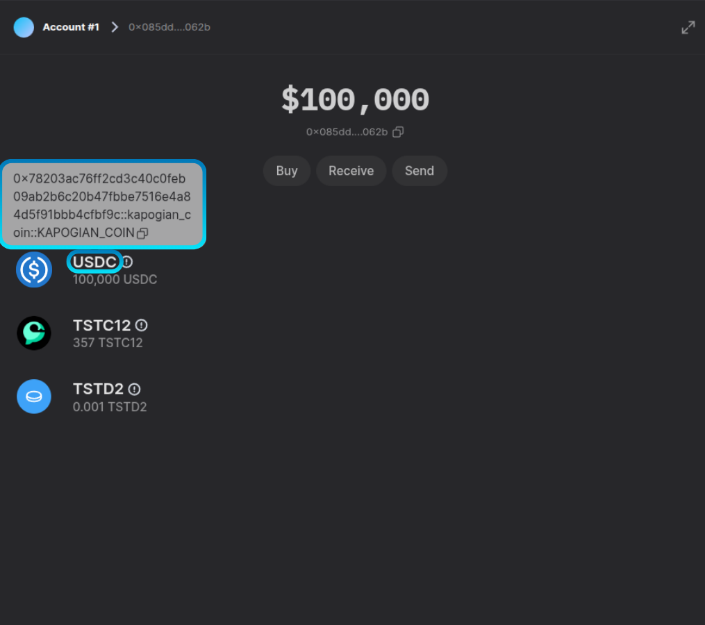 Token in the Suiet wallet with the token name and address highlighted.