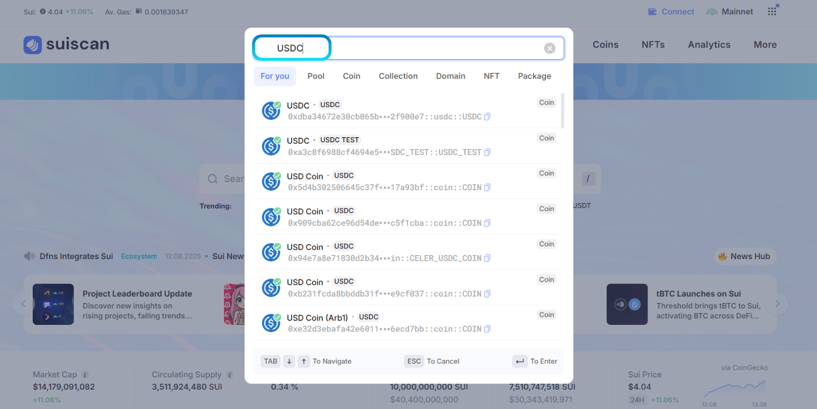 Suiscan page with USDC entered in the search bar.