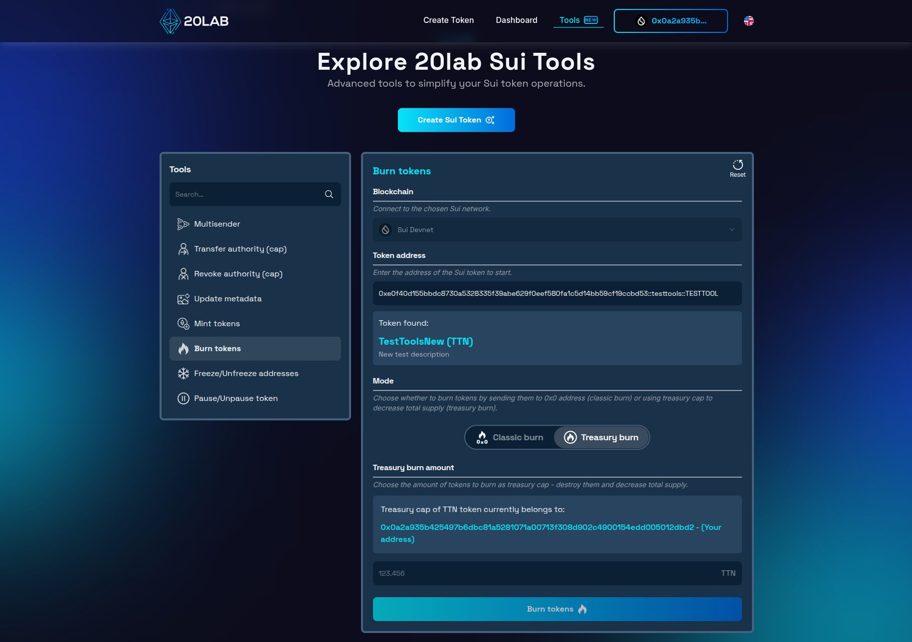 Sui burn token tools interface after adding token address