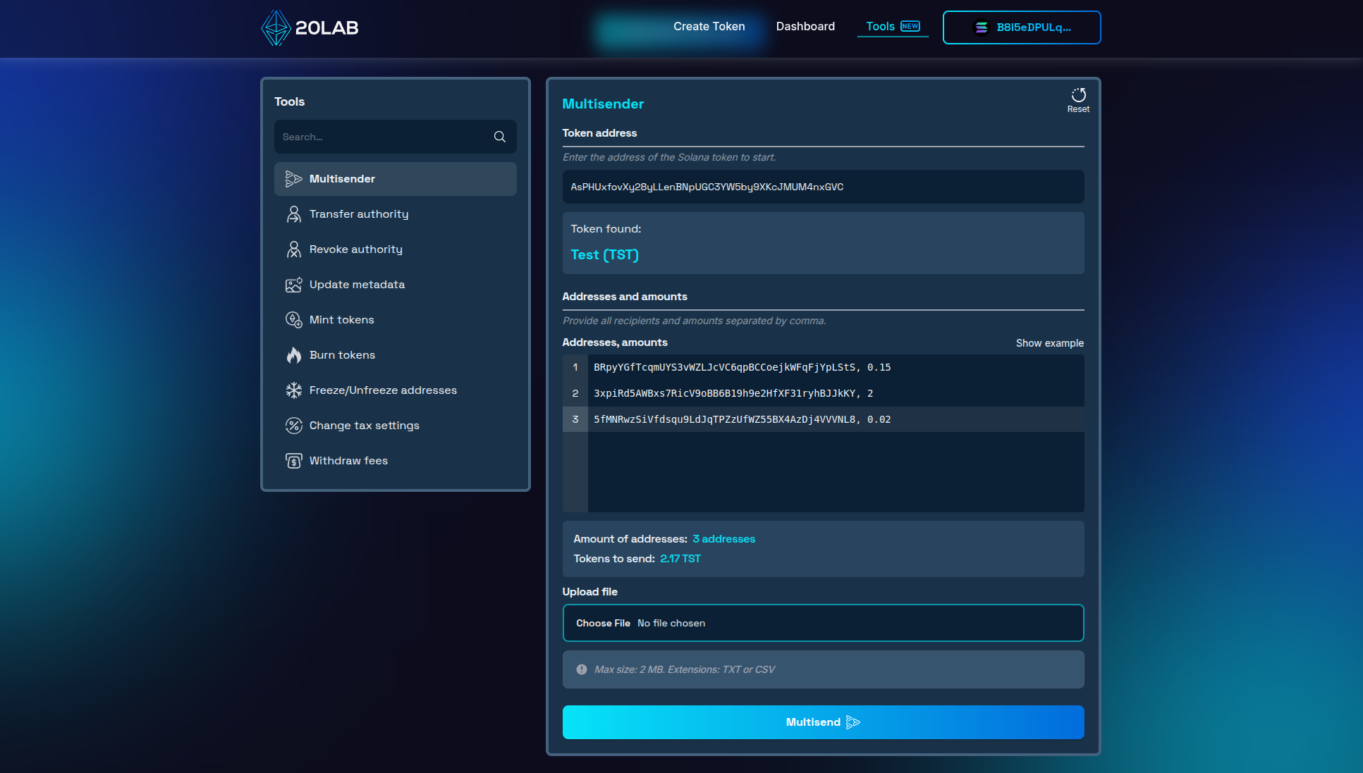 Token address added with sample multisend data