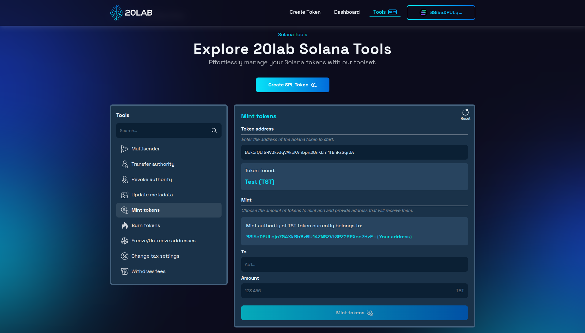 Mint tokens tool interface with added token