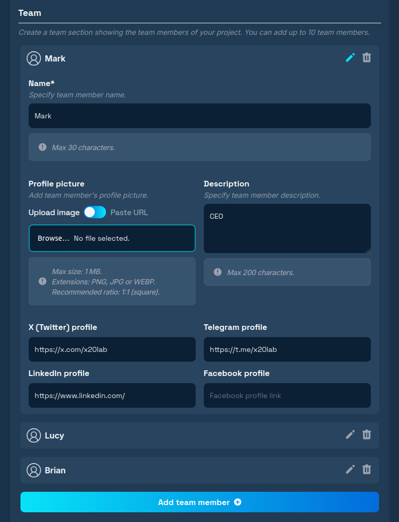 The team section in the token page creation form.