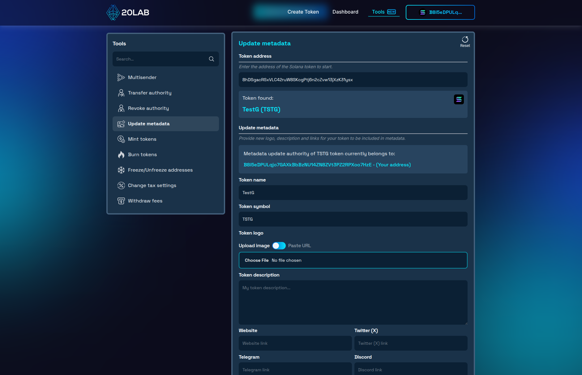 Update metadata tool interface