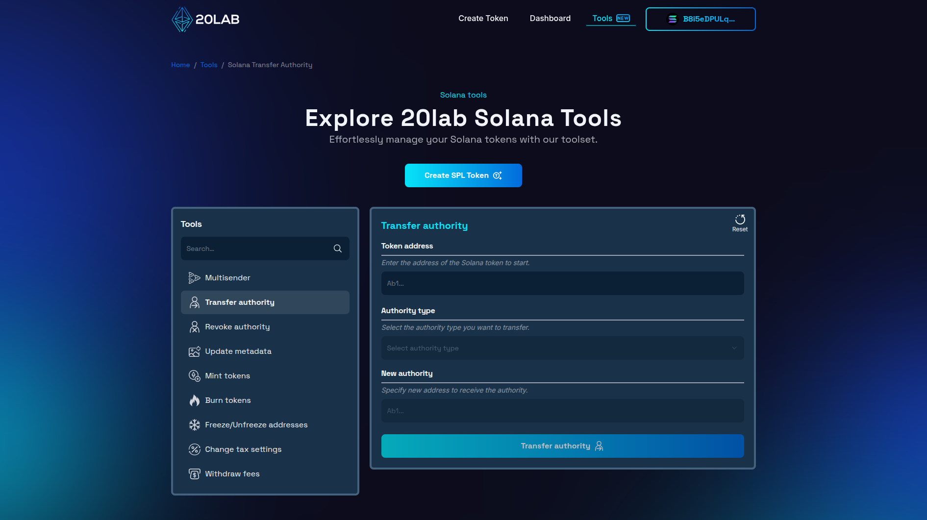 Transfer authority tool interface