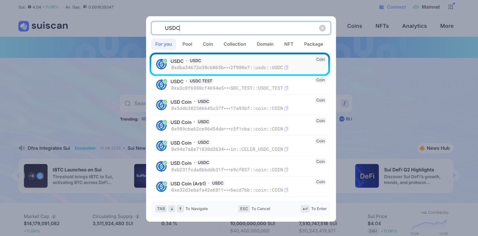 Search results with USDC selected on Suiscan.