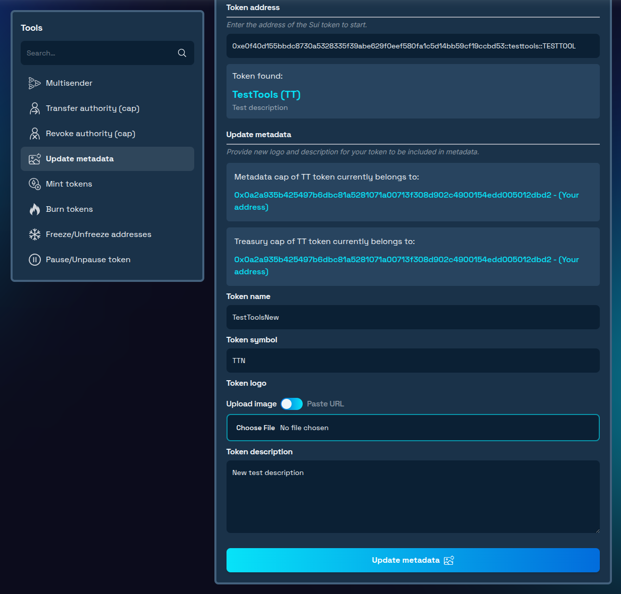 New metadata provided in tool interface
