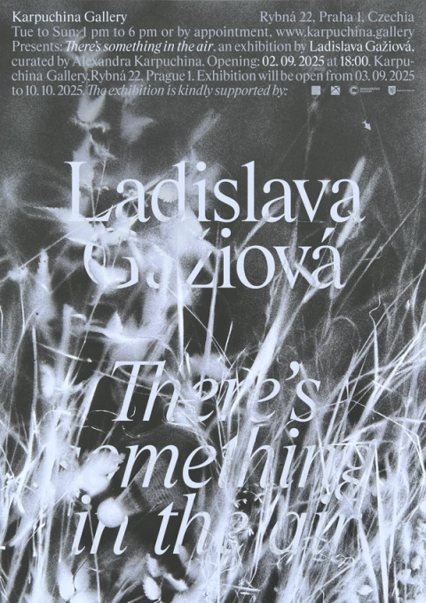 ladislava gažiová grafika