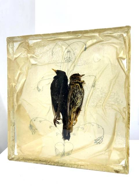 The Birds – Artwork Cover