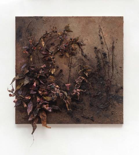 Black Fruit Red Vein – Artwork Cover