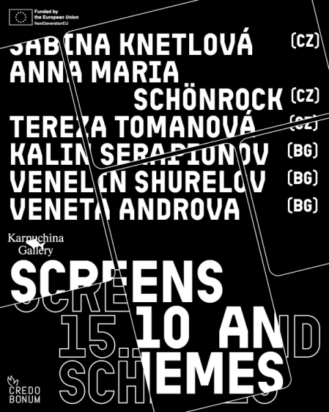 Screens and Schemes poster