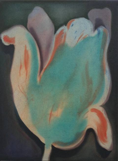 Tulip – Artwork Cover