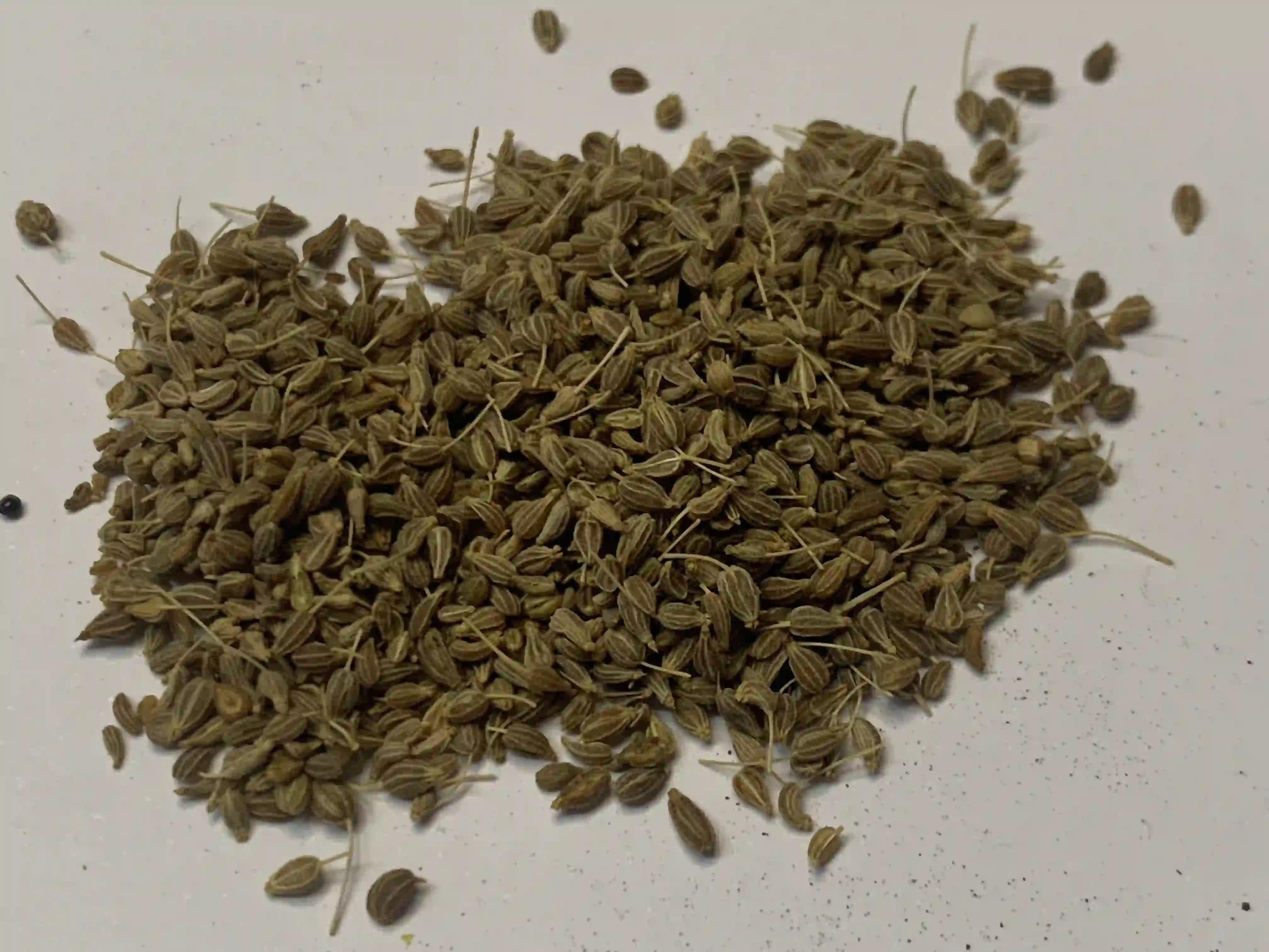 picture about ANISE SEED, spice like no other...