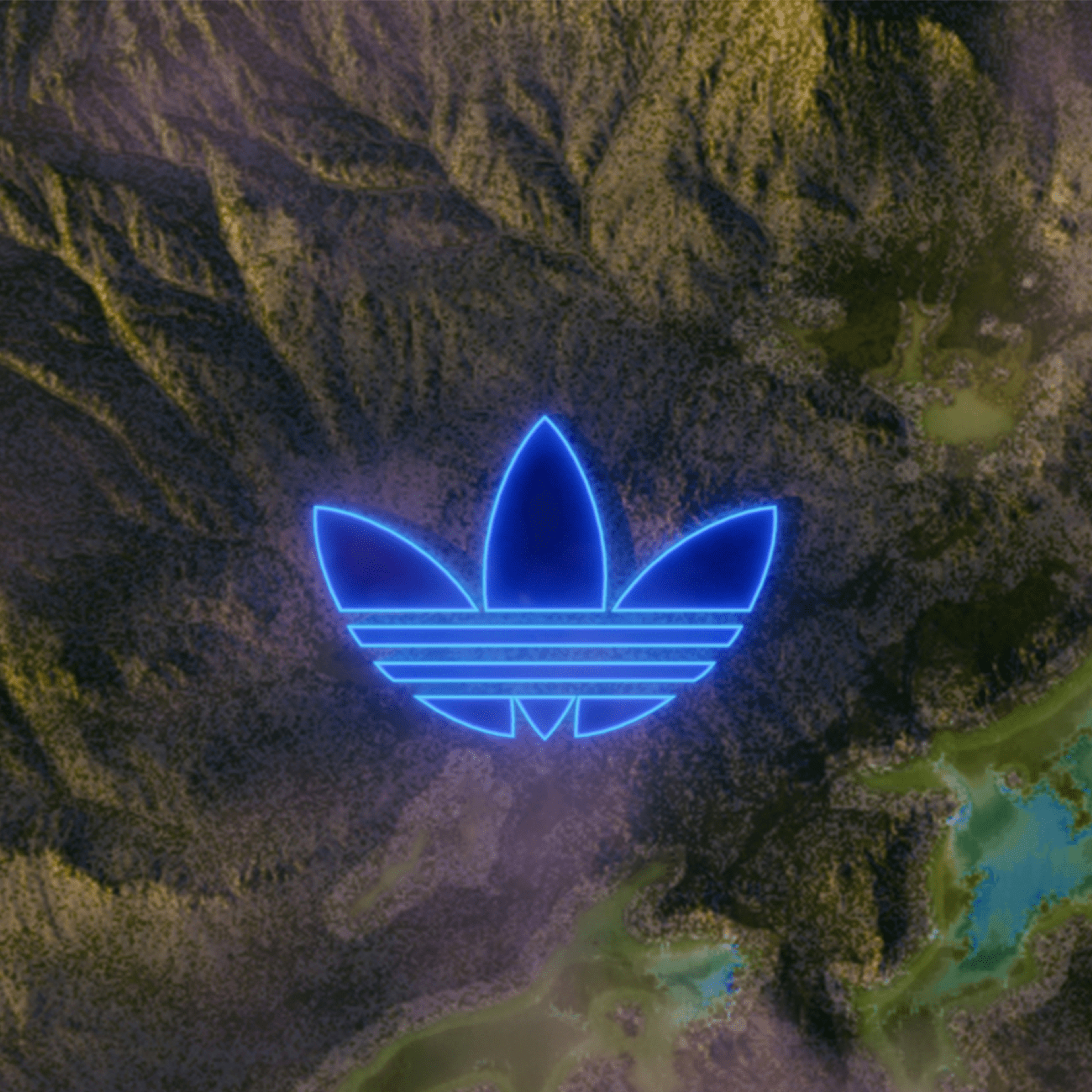Activation content image