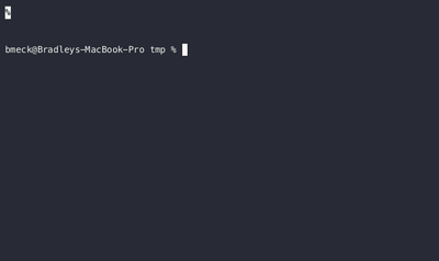 Introducing "safe npm", a Socket npm Wrapper