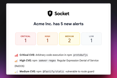 Introducing Organization Notifications in Socket