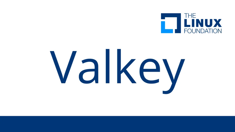 “Valkey” Open Source Redis Fork Backed by Linux Foundation, Amazon, Google Cloud, Oracle, Ericsson, and Snap Inc