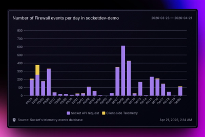 Introducing Reports: An Extensible Reporting Framework for Socket Data