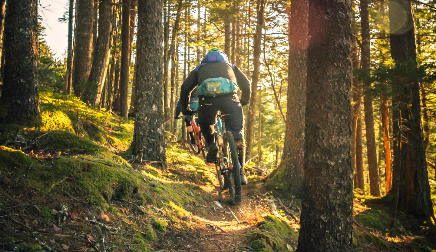 follow view of a mountain biker through the trees on single track