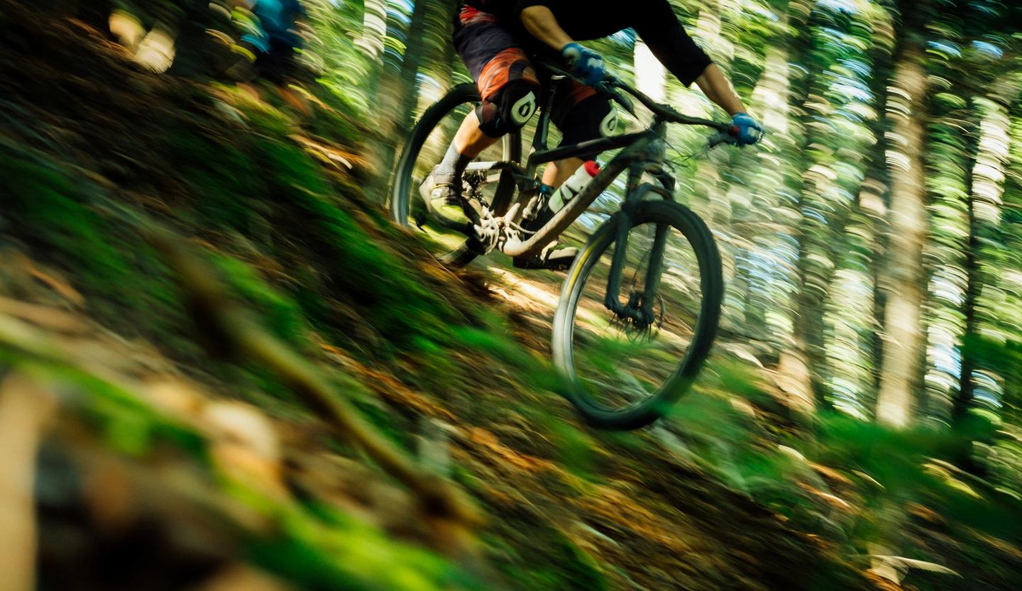 blurred forest scene with in focus mountain biker riding downhill