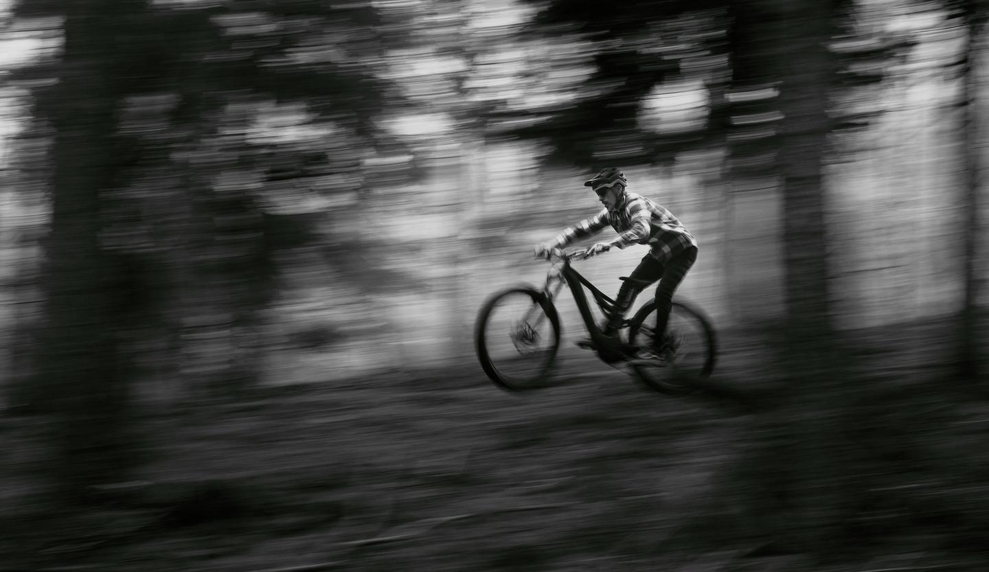 mountain biker sending off jumps with evergreen trees on each side