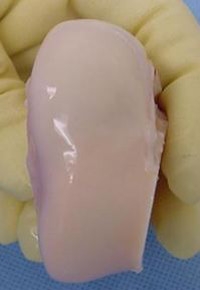 BioUNI Unigraft