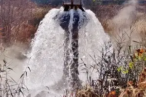 wastewater flowing in forest