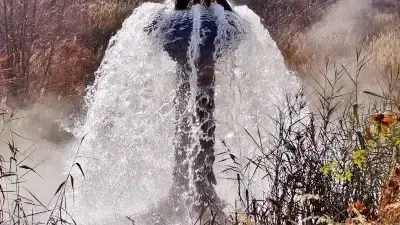 wastewater flowing in forest
