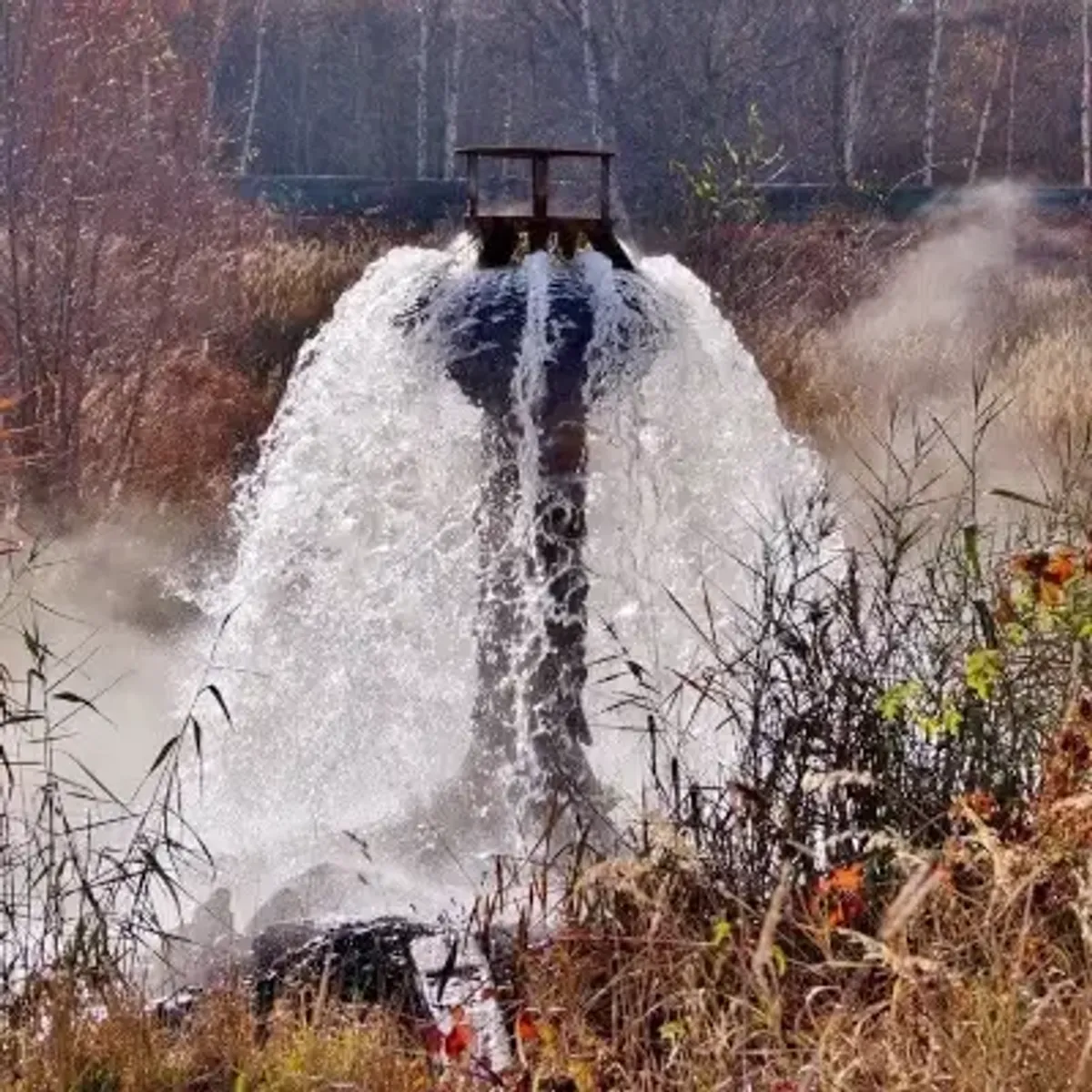 wastewater flowing in forest