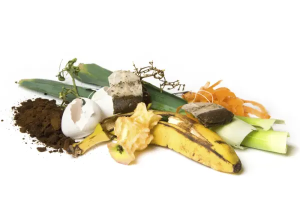 A pile of food scraps and dirt