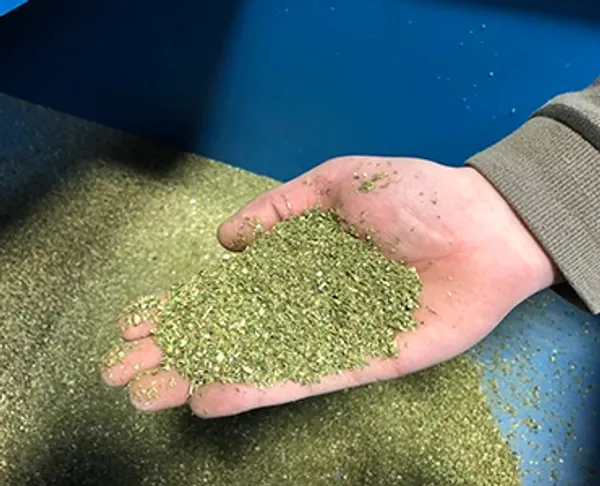 A hand holding shredded hemp leaves