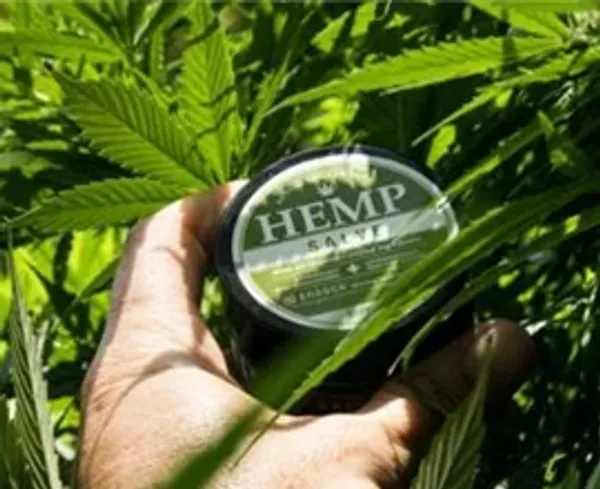A man's hand holding a hemp oil can next to a hemp plant