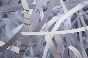 shredded paper strips