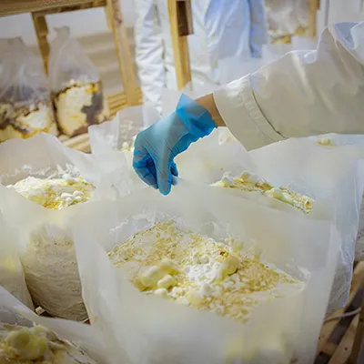 Industrial Chemical Crushers