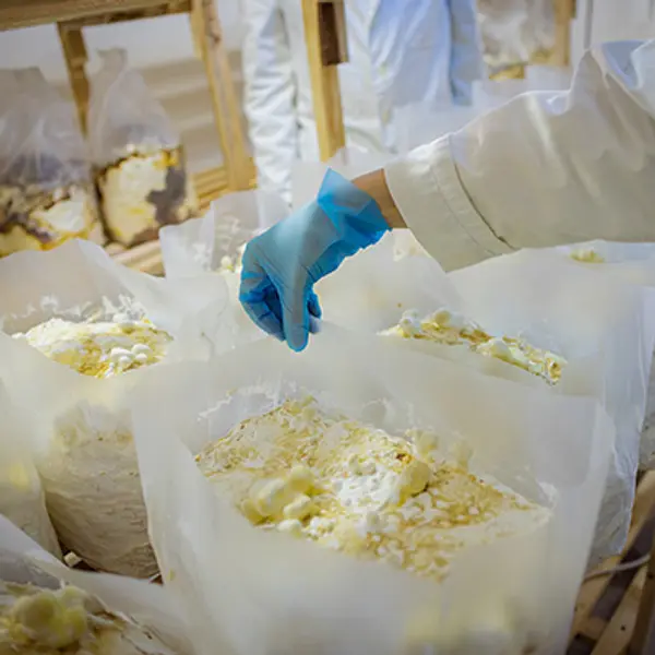 Industrial Chemical Crushers