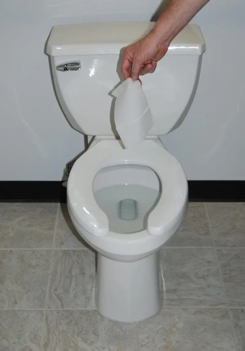 Flushable Wipe In Toilet