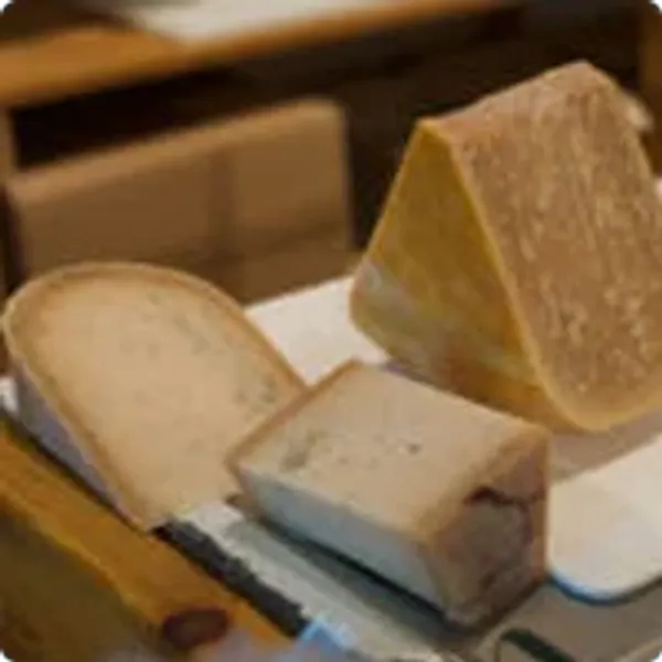 Three pieces of a cheese wheel on the table