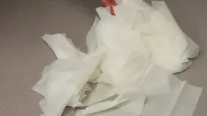 Surge Of Wipes Use Causes Strain on Wastewater Systems
