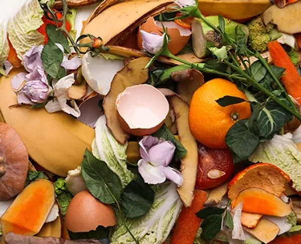A plie of egg shells, orange peels and other food waste products