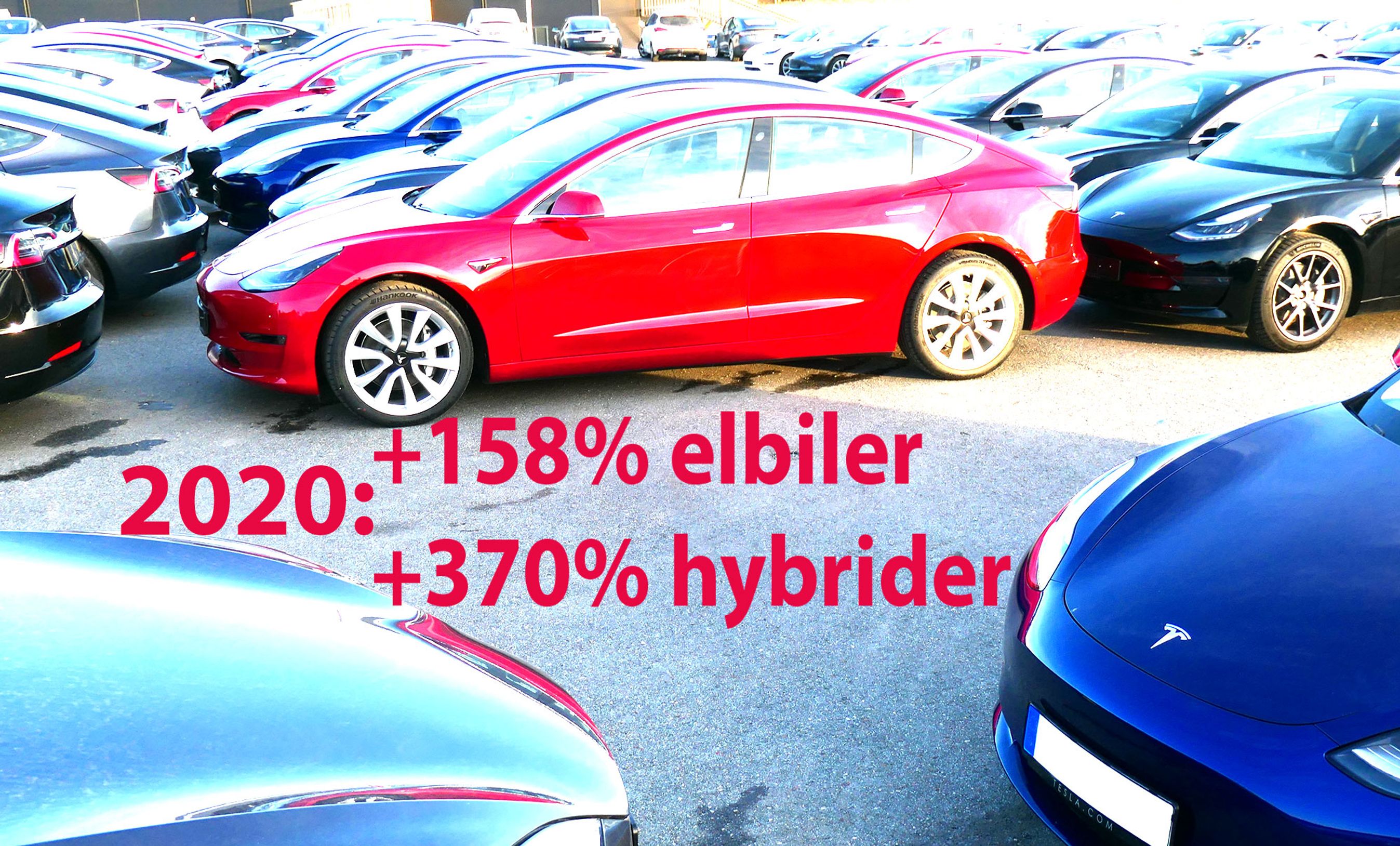 De opladelige biler stormede frem i 2020 - særligt efter ekstraordinært højt salg i december.