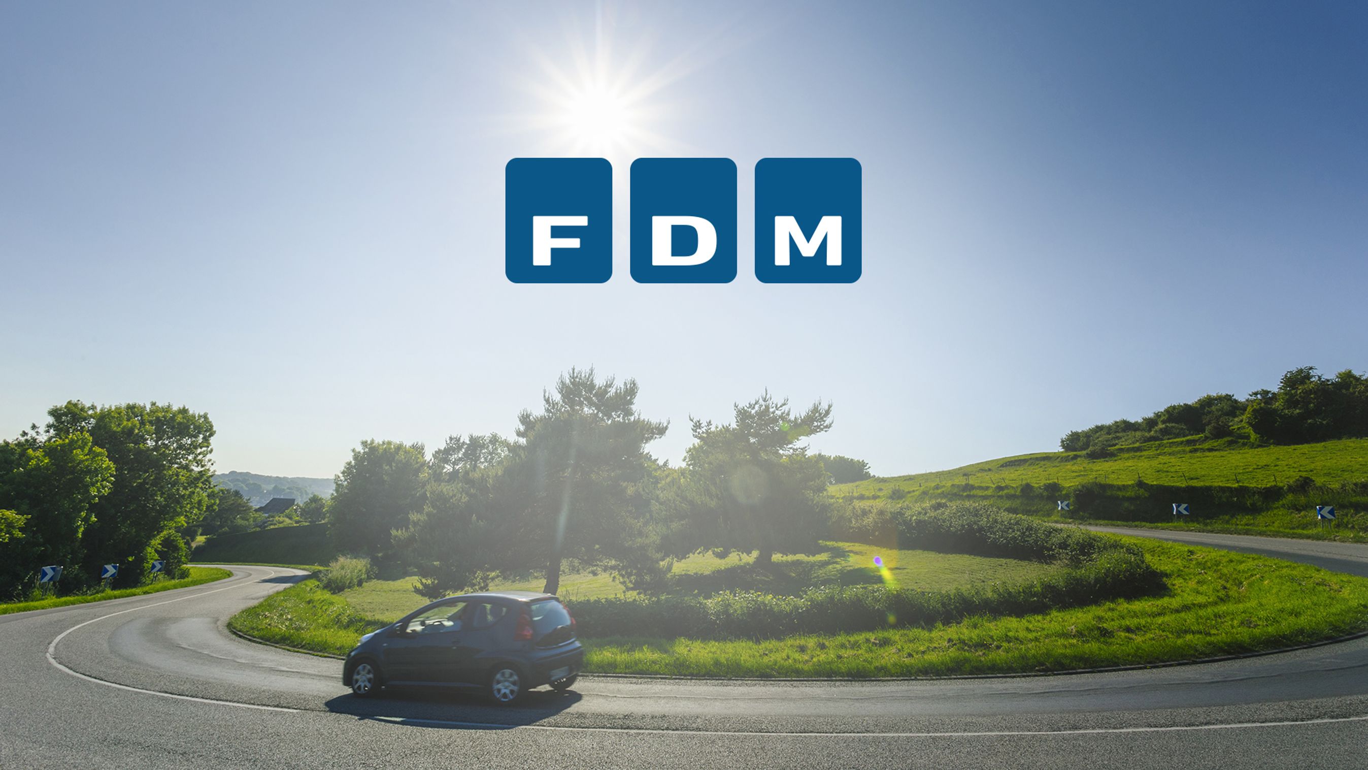 Danmarks største forbruger- og interesseorganisation skal have ny direktør.