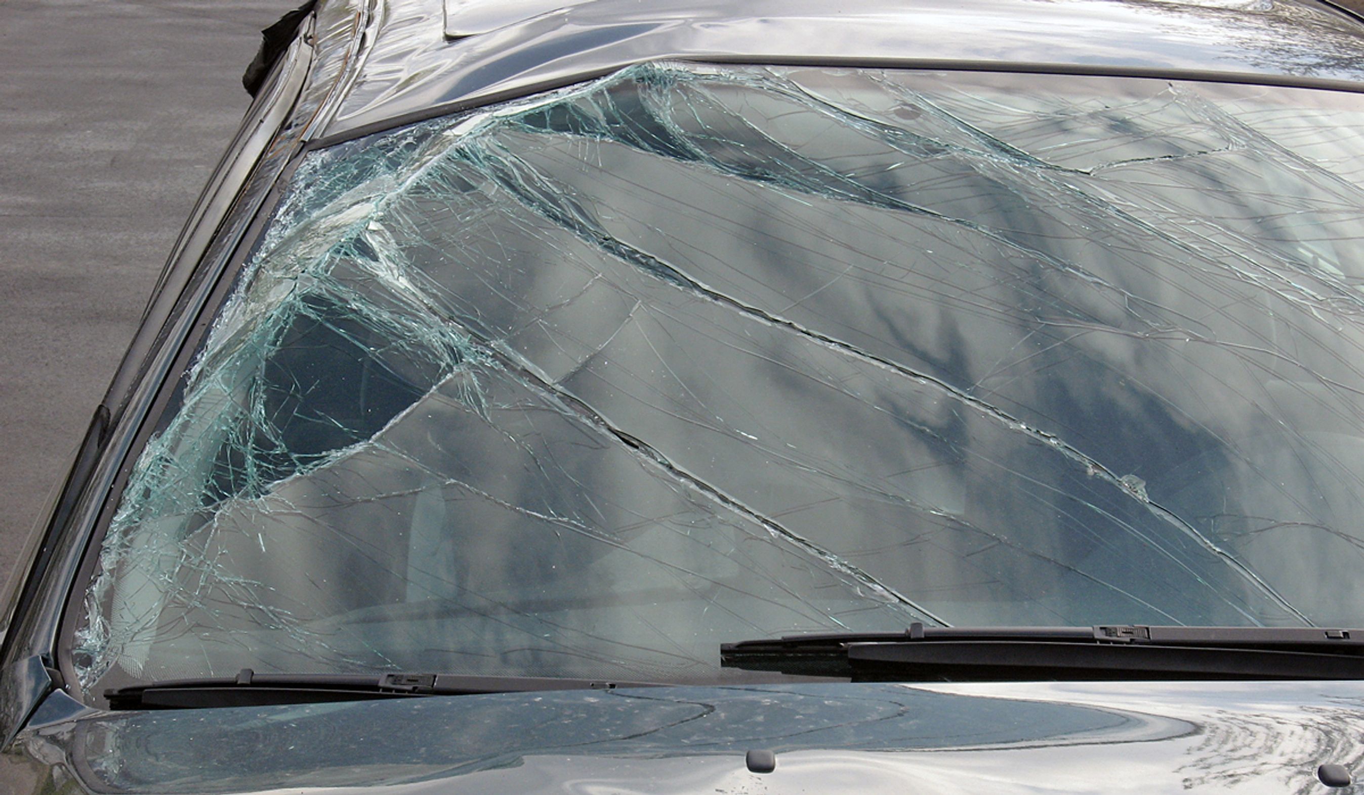 Foto: Torben Arent, FDM