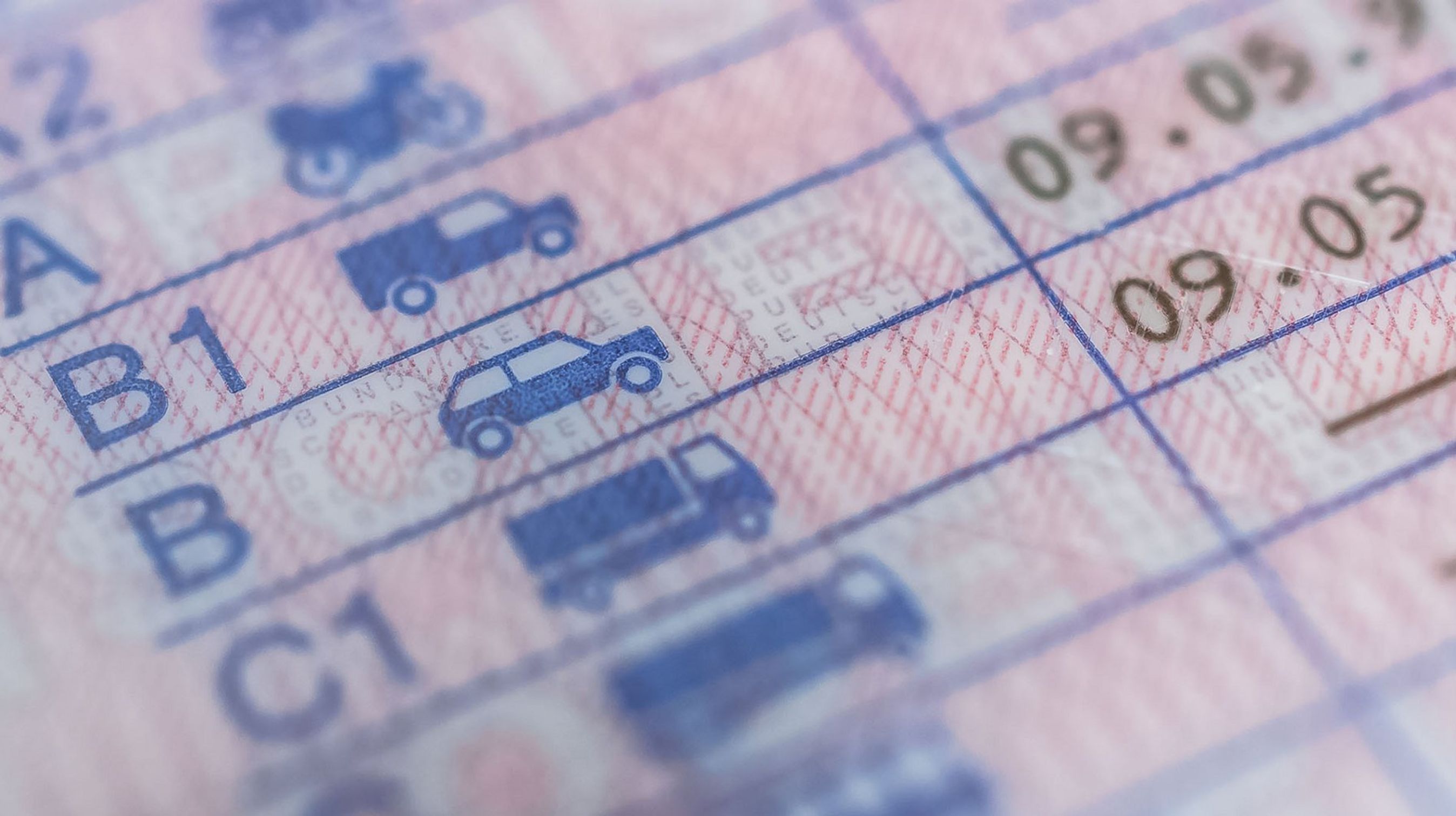 Nærbillede af kørekort