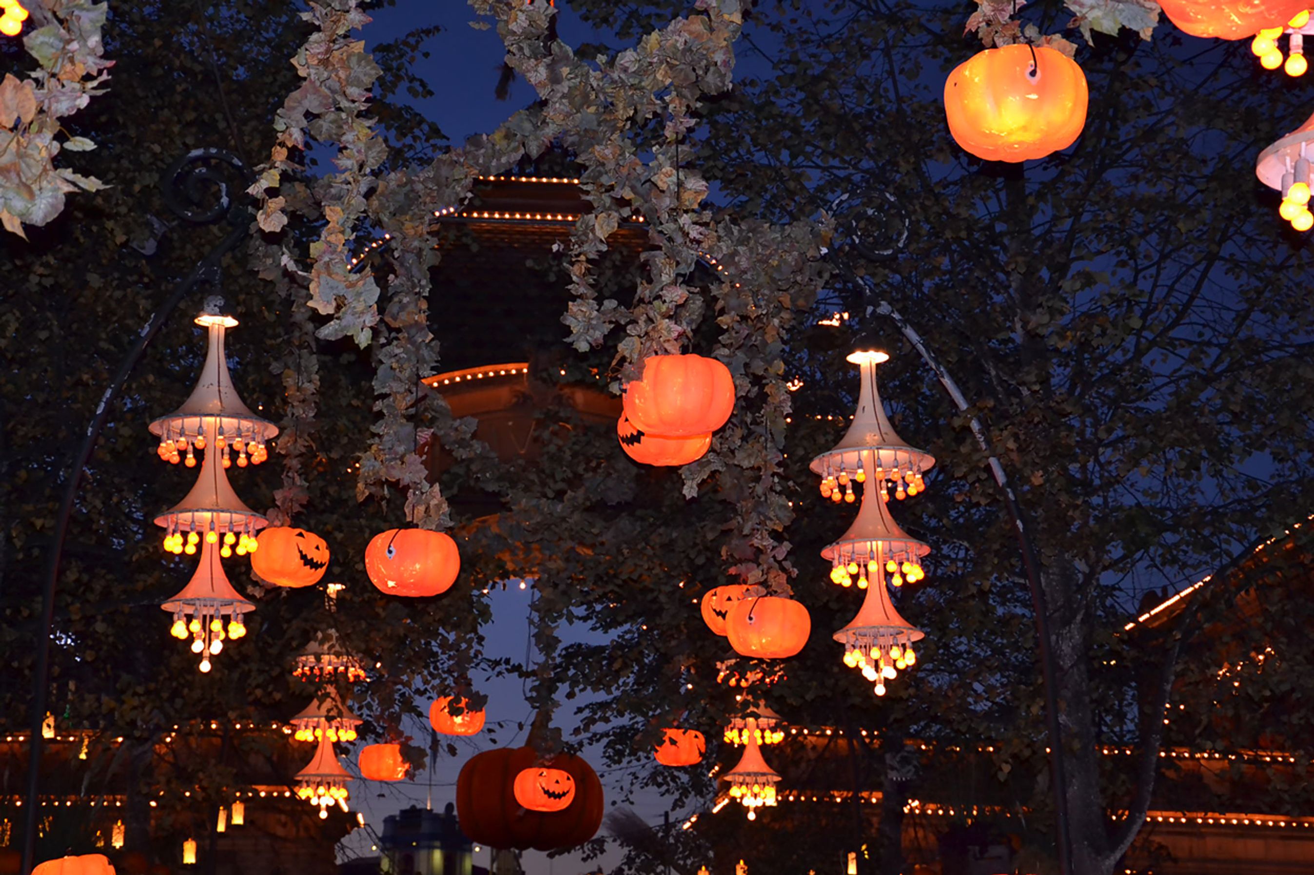 19.600 græskar pryder Tivoli. De er i fare for at udkonkurrere Tivolis juleudsmykning.