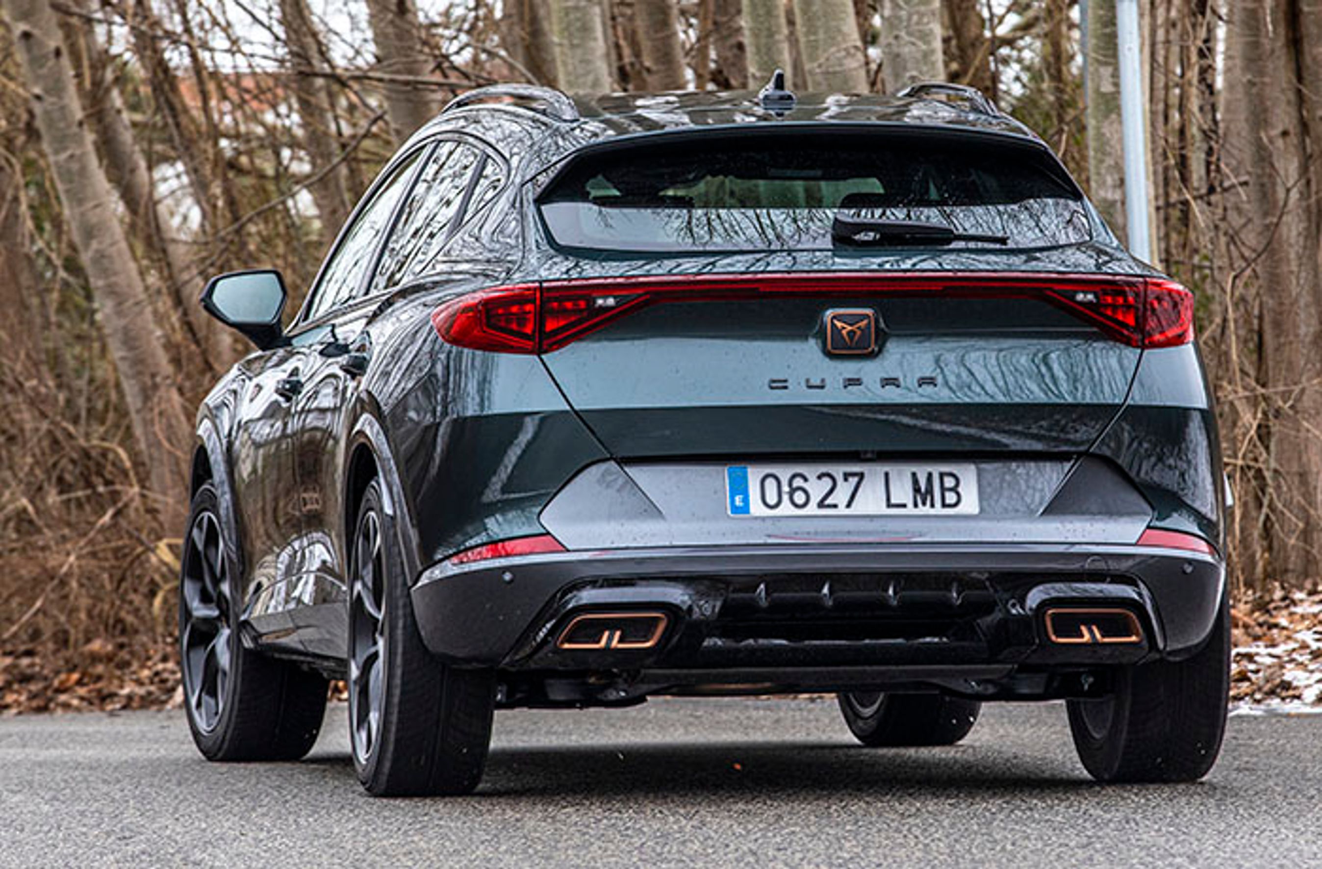 Cupra Formentor set bagfra