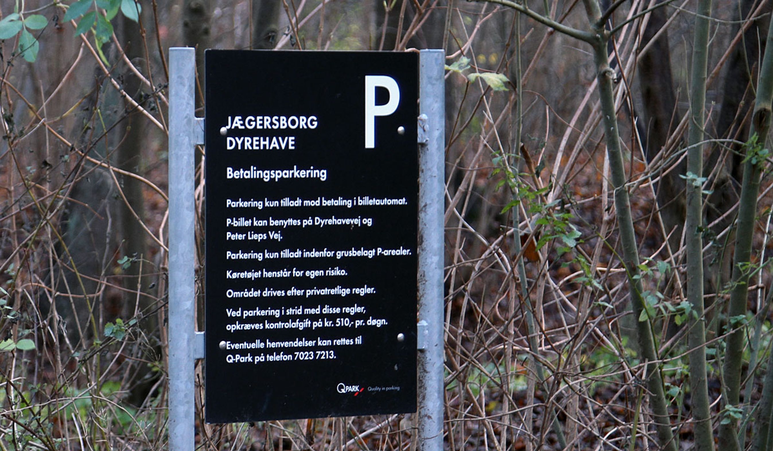 Foto: Torben Arent, FDM